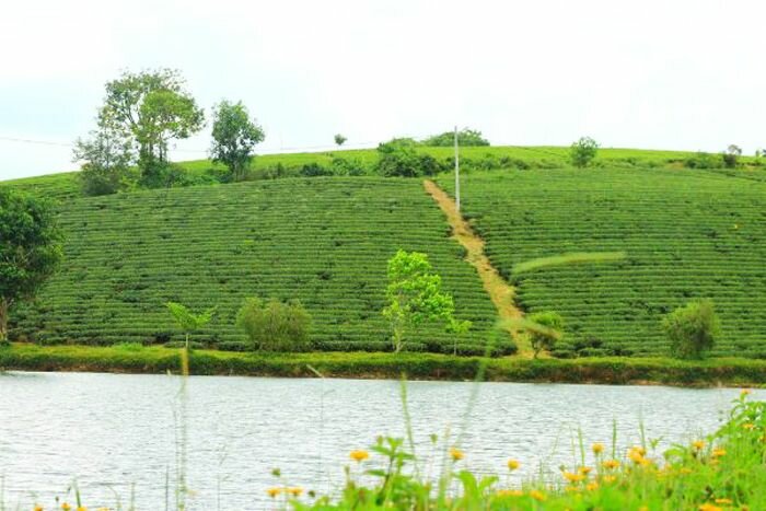 Một số kinh nghiệm trong sở hữu bất động sản Bảo Lâm