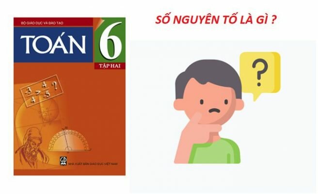 Số nguyên tố là gì? Tính chất và ứng dụng trong thực tiễn?