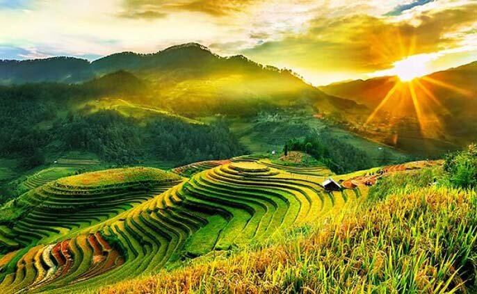 Bạn có biết ruộng bậc thang thường được làm ở đâu Việt Nam?