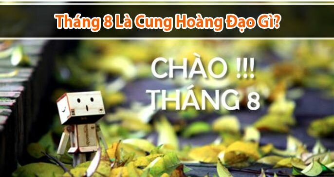 Tháng 8 là cung hoàng đạo gì? Và những đặc điểm nổi bật