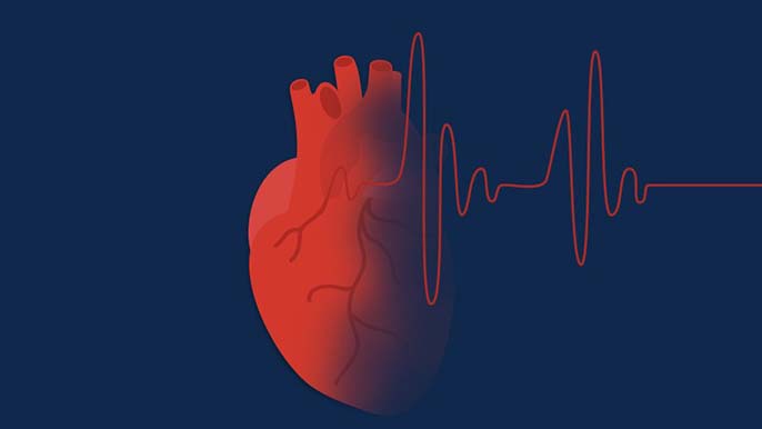 Giải mã lý do tại sao tim đập nhanh?